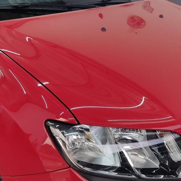 175909312_1429642380719104_1092717570004656172_n