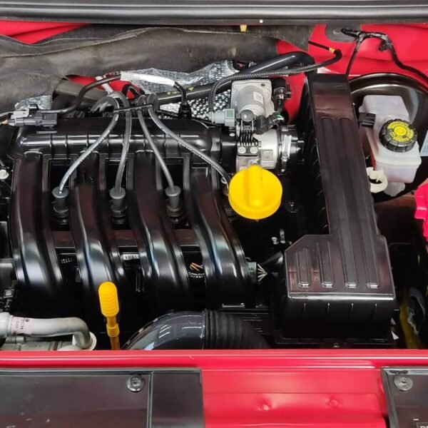 176930339_1429642387385770_76985310098847345_n